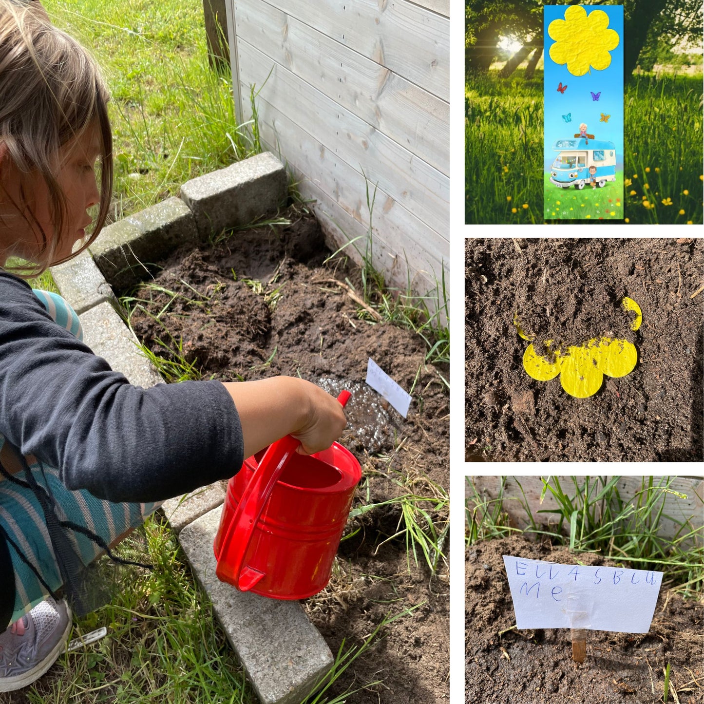 B-OB Coddiwomple Lesezeichen | mit Samenblume