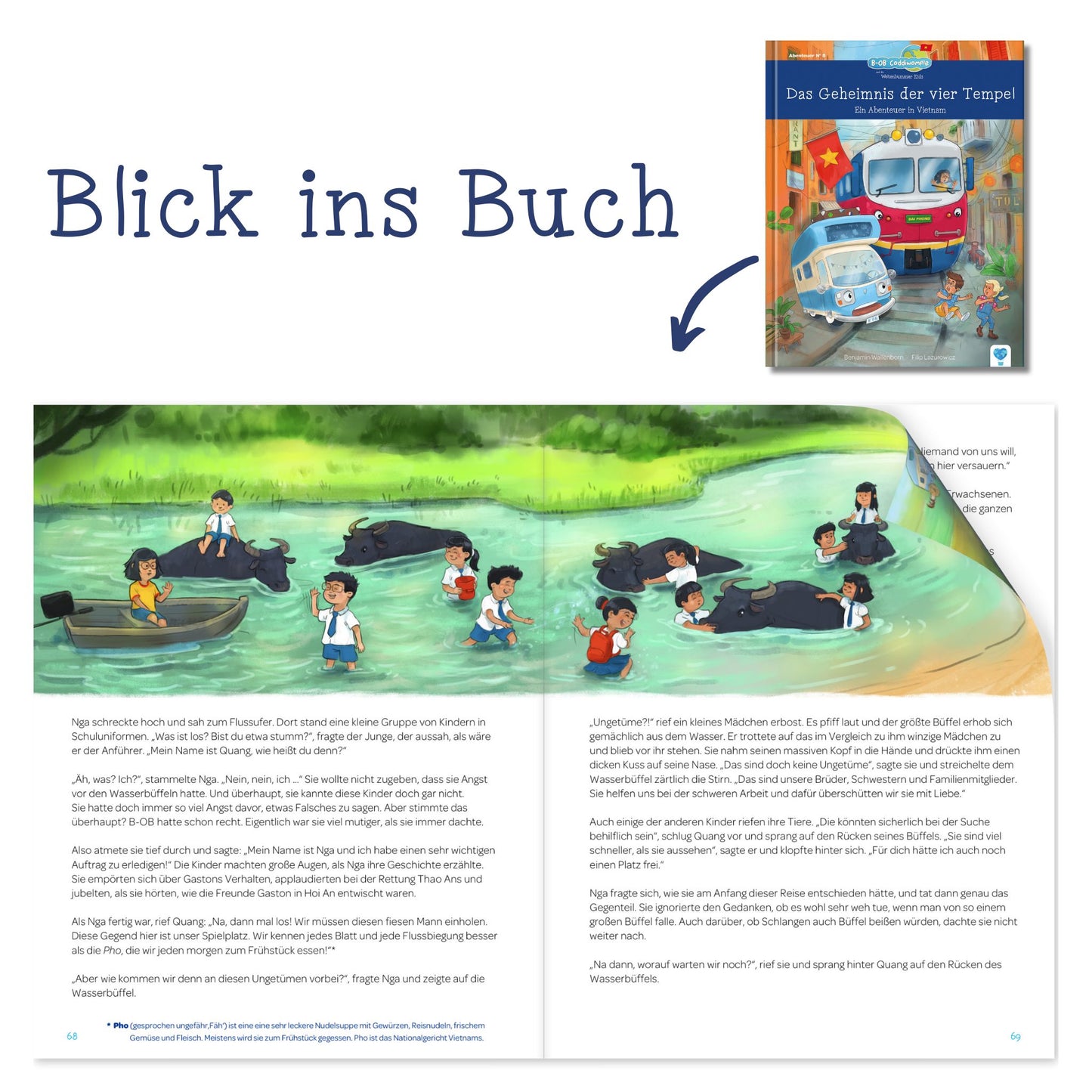 E-Book zu Band 8: Das Geheimnis der vier Tempel - Ein Abenteuer in Vietnam